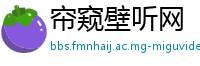 帘窥壁听网